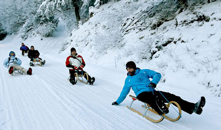 Sledging